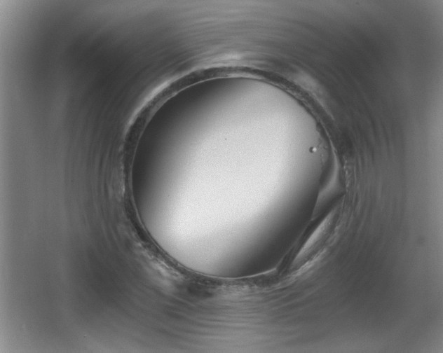 X0000068261069200604241226