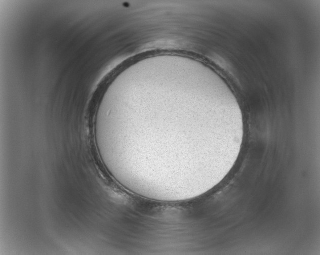 X0000068261070200604241226