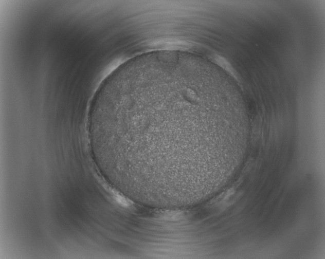 X0000068261071200604241226