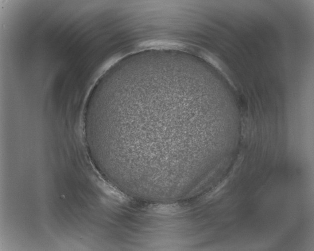 X0000068261074200604241225