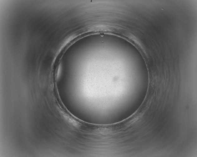 X0000068261075200604241225