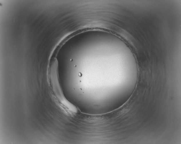 X0000068261076200604241225