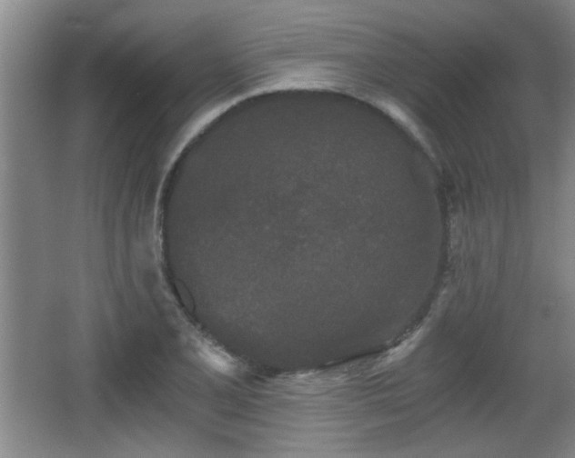 X0000068261077200604241225