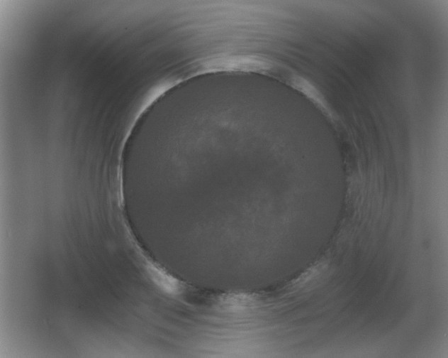 X0000068261079200604241225