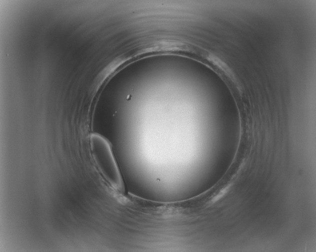 X0000068261081200604241225