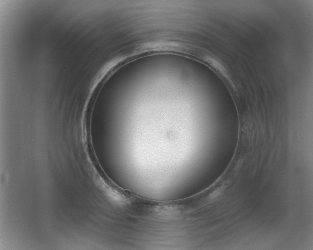 X0000068261082200604241225