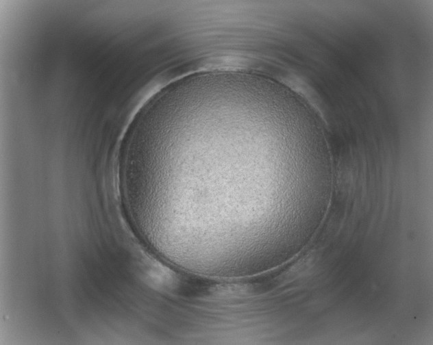 X0000068261083200604241225