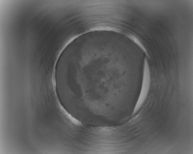 X0000068261084200604241225