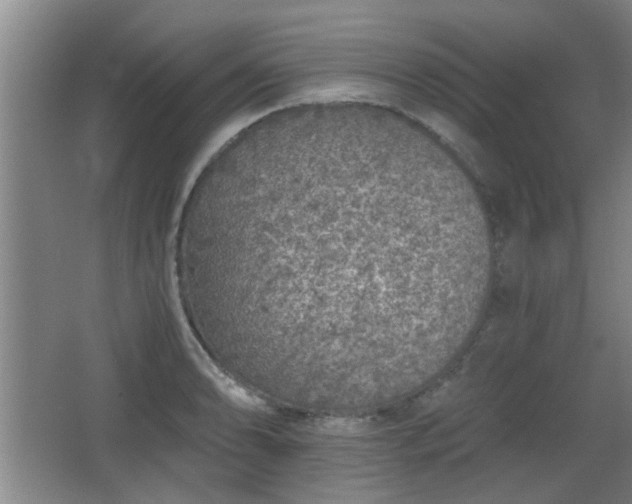 X0000068261086200604241225