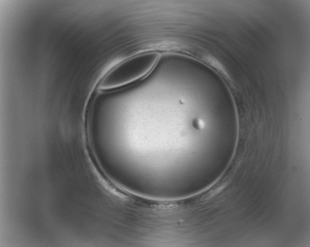 X0000068261087200604241225