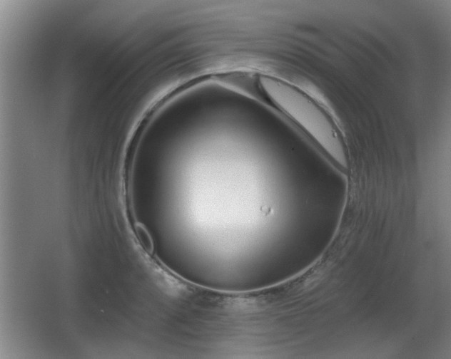 X0000068261088200604241225