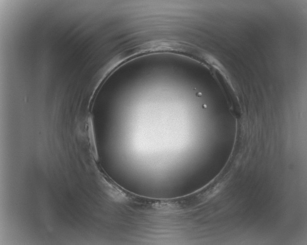 X0000068261089200604241225