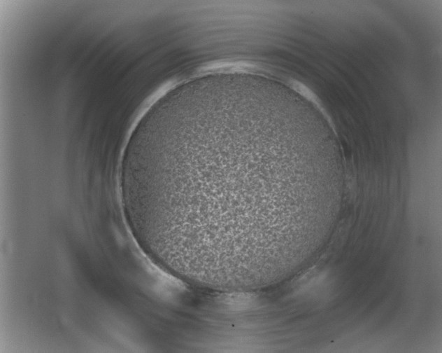 X0000068261090200604241225