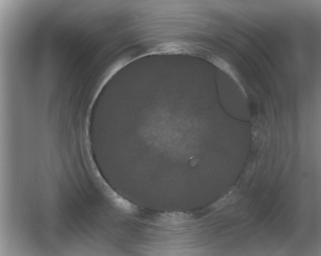 X0000068261091200604241225