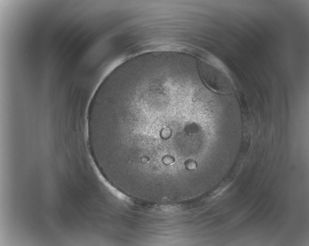 X0000068261095200604241225