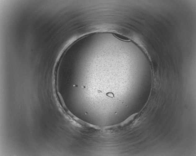 X0000068261096200604241225