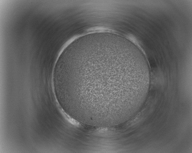 X0000068261098200604241225