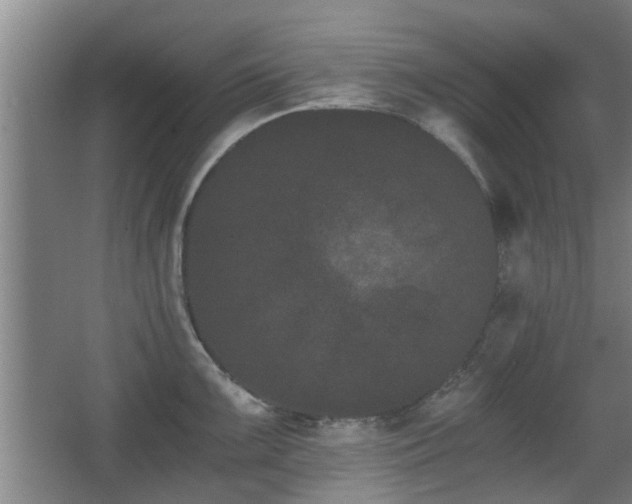 X0000068261099200604241225