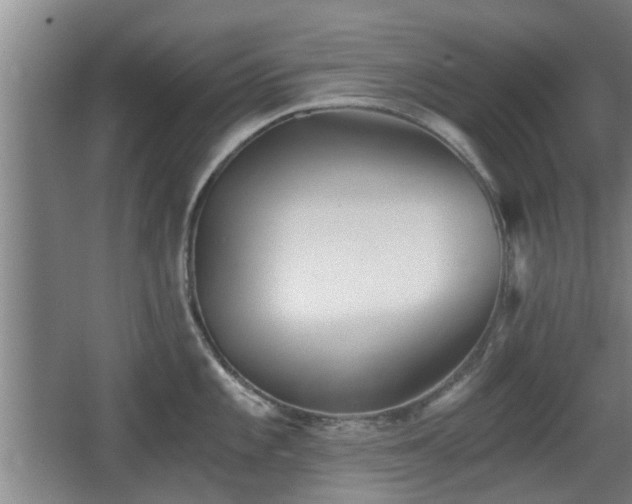 X0000068261101200604241225