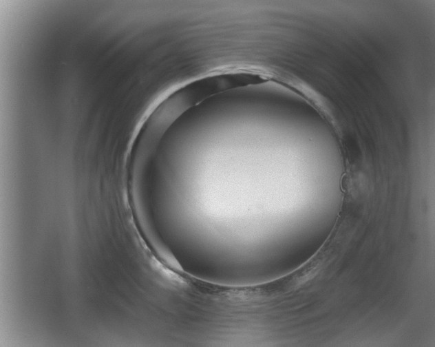 X0000068261102200604241225