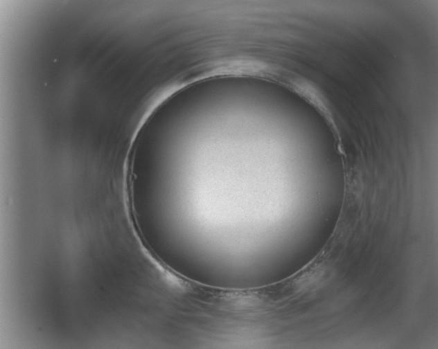 X0000068261103200604241225