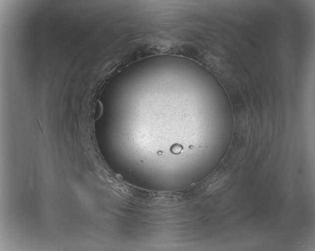 X0000068261105200604241224