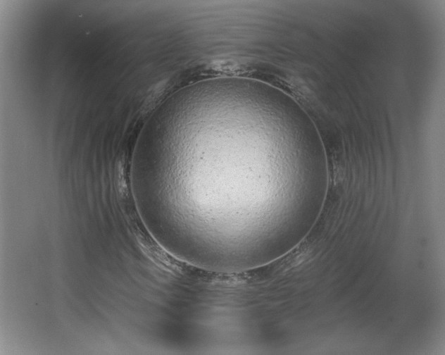 X0000068261106200604241224