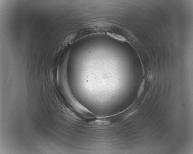 X0000068261108200604241224