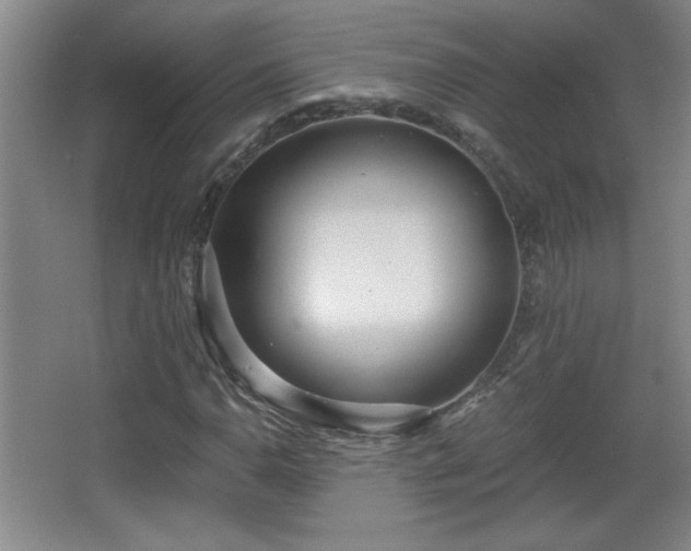 X0000068261110200604241224