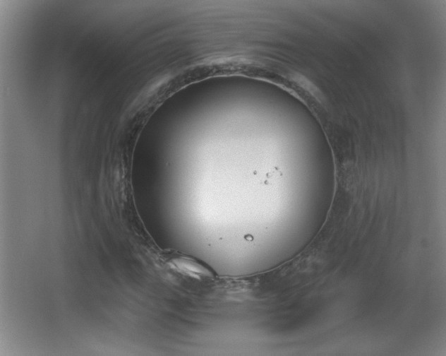 X0000068261111200604241224