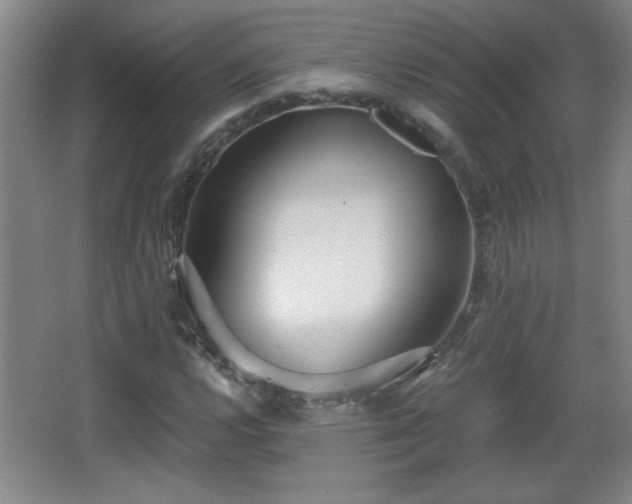 X0000068261112200604241224