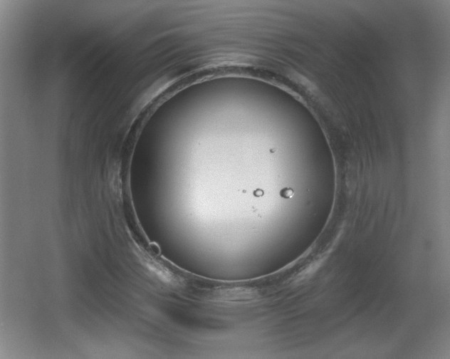 X0000068261113200604241224