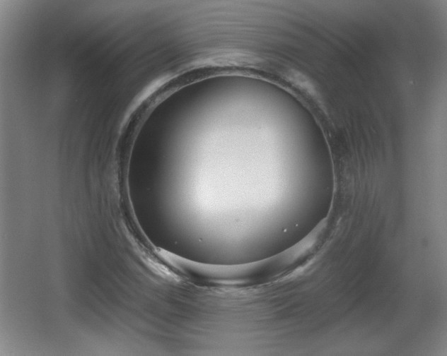 X0000068261114200604241224