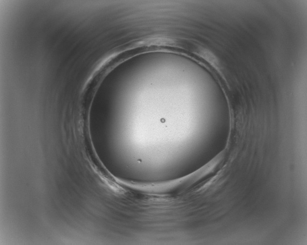 X0000068261115200604241224