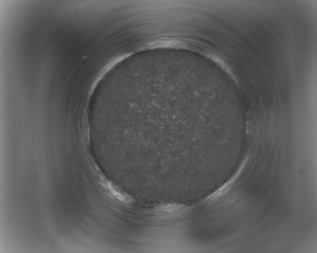 X0000068261117200604241224