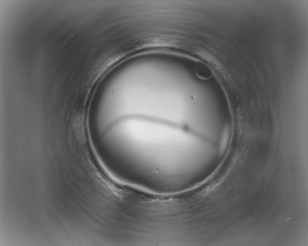 X0000068261121200604241224