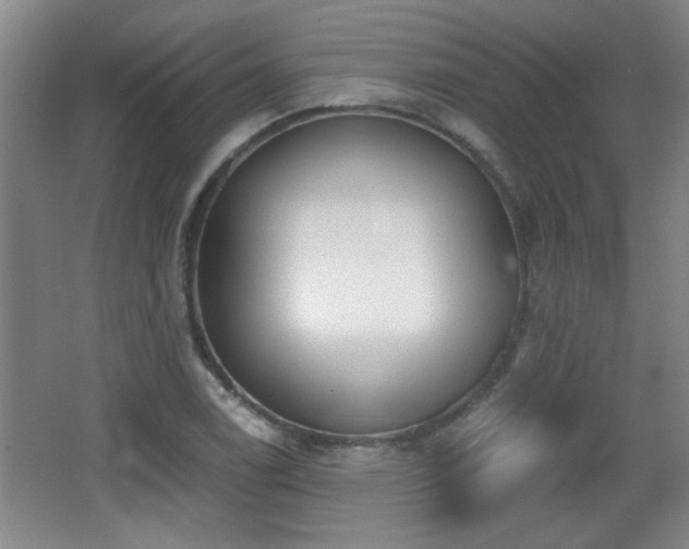 X0000068261122200604241224