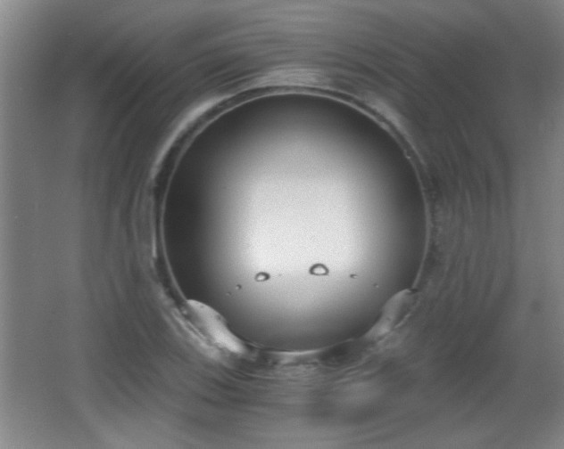 X0000068261123200604241224