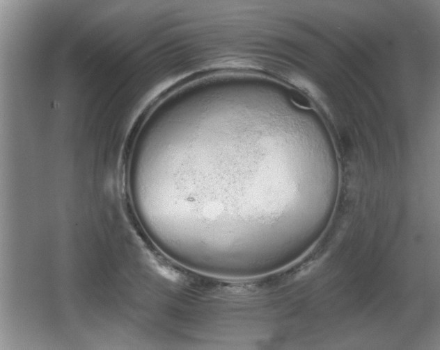 X0000068261125200604241225