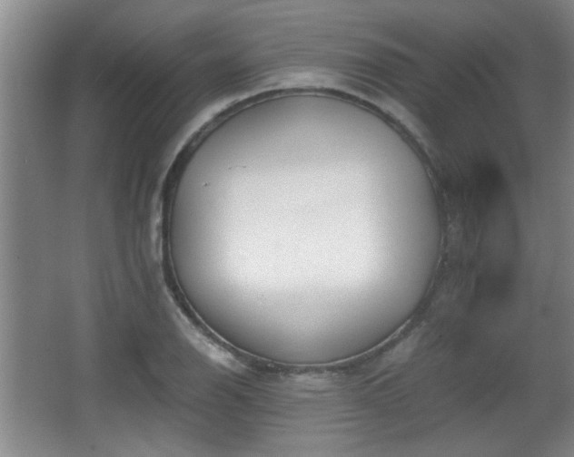 X0000068261126200604241225