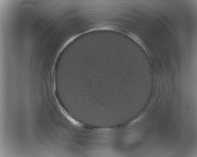 X0000068261127200604241225