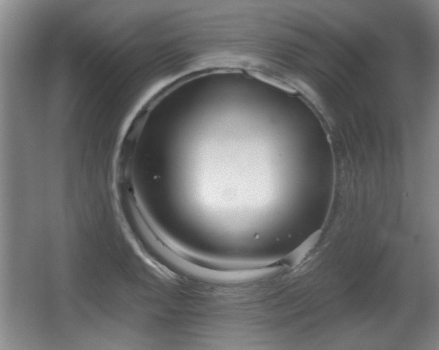 X0000068261128200604241225