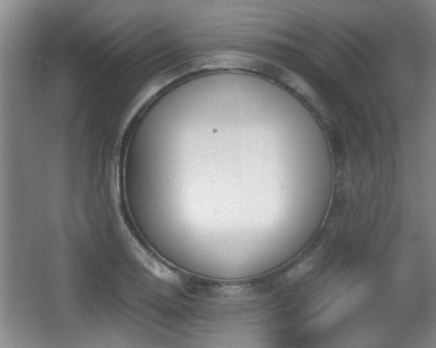 X0000068261130200604241225