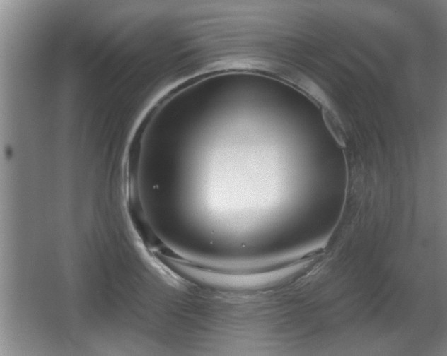 X0000068261132200604241225