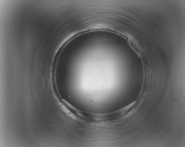 X0000068261134200604241225