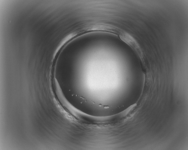 X0000068261138200604241225