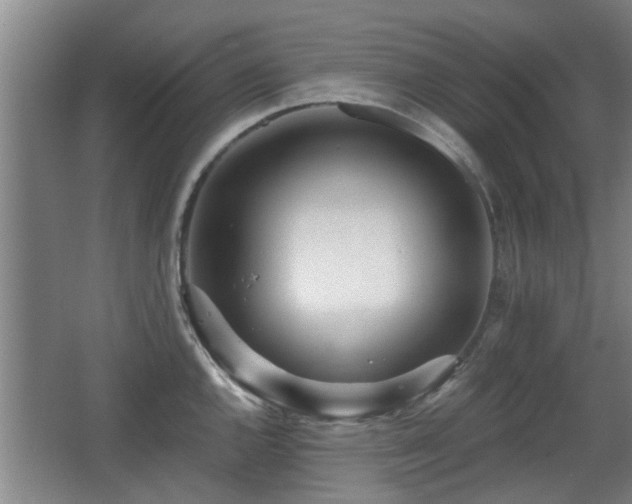 X0000068261144200604241225