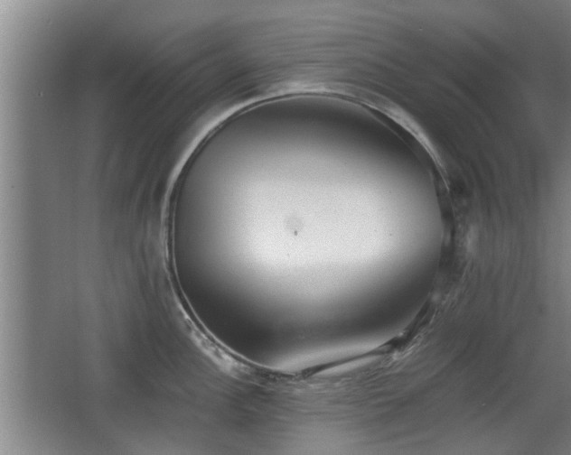 X0000068261148200604241225