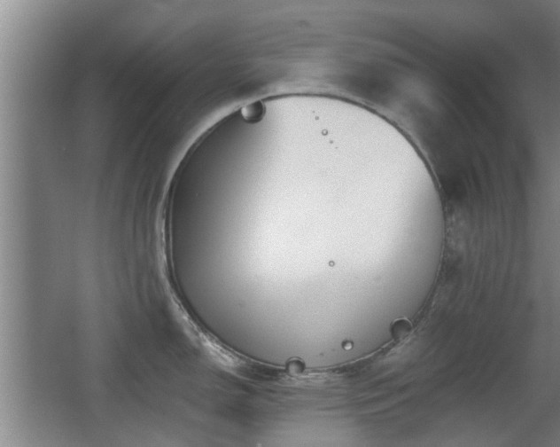 X0000068261150200604241225