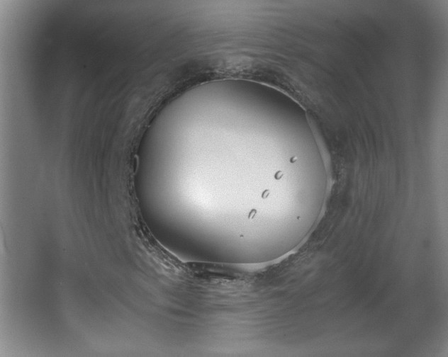 X0000068261153200604241224